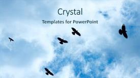  Presentation with crow - Audience pleasing theme consisting of crows flying against cloudy blue backdrop and a sky blue colored foreground