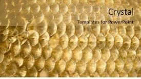  Presentation with fish scales - Cool new presentation with crucian carp scales close-up backdrop and a yellow colored foreground