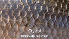  Presentation with skin care natural yellow - Beautiful PPT theme featuring crucian carp scales natural texture backdrop and a gray colored foreground