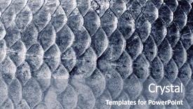  Presentation with texture - Audience pleasing theme consisting of crucian carp scales natural texture backdrop and a gray colored foreground