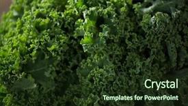  Presentation with food waste fresh in garbage - Cool new slides with crucification - close-up of fresh kale backdrop and a  colored foreground