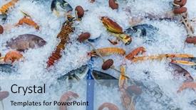  Presentation with seafood - Audience pleasing presentation theme consisting of cruise food - seafood on ice backdrop and a  colored foreground