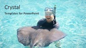  Presentation with fun - Amazing PPT layouts having cruise ship resort - fun swimming with the stingrays backdrop and a arctic colored foreground