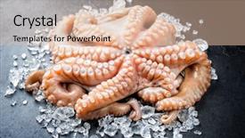  Presentation with octopus - Slide set having crushed ice at a display background and a lemonade colored foreground