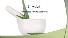 Presentation with aloe vera - Colorful PPT theme enhanced with crusher plant - aloe vera with mortar backdrop and a white colored foreground