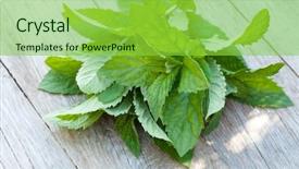  Presentation with organic garden store - Amazing presentation theme having crusher plant - fresh mint bunch on garden backdrop and a yellow colored foreground