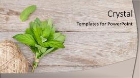  Presentation with mint - Slide set with crusher plant - fresh mint bunch on garden background and a  colored foreground