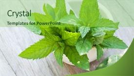  Presentation with mortar - PPT theme having crusher plant - fresh mint in mortar background and a yellow colored foreground