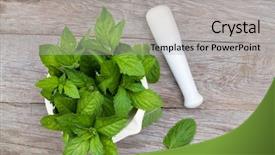  Presentation with mortar - PPT theme having crusher plant - fresh mint in mortar background and a light gray colored foreground