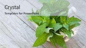  Presentation with mortar - Slides enhanced with crusher plant - fresh mint in mortar background and a  colored foreground