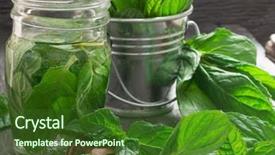  Presentation with mint - Amazing slide deck having crusher plant - fresh mint leaves backdrop and a  colored foreground