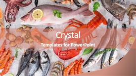  Presentation with crushing - PPT layouts having crushing - fresh tasty seafood served background and a coral colored foreground