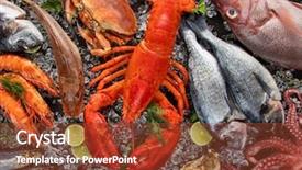 Presentation with crustacean - Slide set having crustacean - whole lobster with seafood crab background and a tawny brown colored foreground