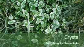  Presentation with crystal - Presentation theme having crystal growth - frozen plants and grass background and a ocean colored foreground