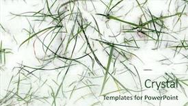  Presentation with crystal - Cool new slides with crystal growth - frozen plants and grass backdrop and a sky blue colored foreground