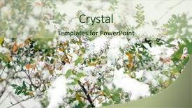  Presentation with crystal - PPT layouts featuring crystal growth - frozen plants in early morning background and a soft green colored foreground