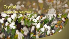  Presentation with crystal - Presentation theme featuring crystal growth - green bush is covered background and a tawny brown colored foreground