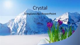  Presentation with snow - Slide deck enhanced with crystal growth - spring crocus flowers in snow background and a light blue colored foreground