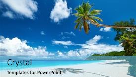  Presentation with beautiful skin and beach - Presentation theme consisting of crystal tree - beautiful beach anse intendance background and a light blue colored foreground
