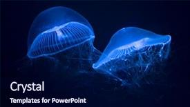  Presentation with jelly - Presentation theme consisting of crystallization - swimming crystal jelly background and a navy blue colored foreground