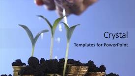  Presentation with business growth and profit - PPT layouts having csr - man hand watering young tree background and a light blue colored foreground