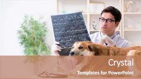  Presentation with metabolic syndrome doctor examining - PPT theme having examination results - doctor examining golden retriever dog background and a coral colored foreground