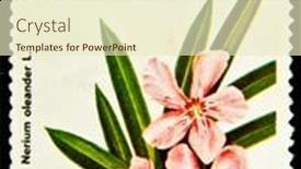  Presentation with cuba - 