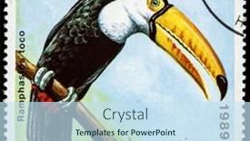  Presentation with cuba - 