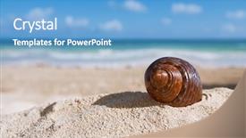  Presentation with florida beach - Slide deck featuring cuban-shell-on-white-florida background and a teal colored foreground