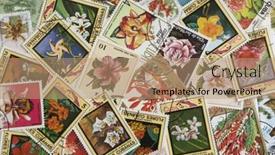  Presentation with cuban - 