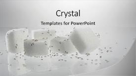  Presentation with ants - Presentation theme consisting of cube sugar surrounded by ants background and a white colored foreground