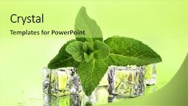  Presentation with water rain drop hanging on a fresh green leaf - Audience pleasing theme consisting of cubes with droplets on green backdrop and a soft green colored foreground