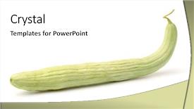  Presentation with melon - Slides featuring cucumber - snake melon isolated on white background and a white colored foreground