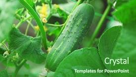  Presentation with growing - Cool new slide set with cucumber growing in garden backdrop and a forest green colored foreground
