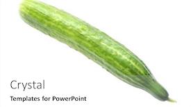  Presentation with agriculture cucumber - PPT theme with cucumber-under-the-white-background background and a white colored foreground
