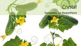  Presentation with white flowers - Slides with cucumber vegetables with leafs background and a yellow colored foreground
