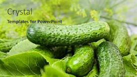  Presentation with food - Cool new slide deck with cucumber-with-inflorescence-dill-food backdrop and a yellow colored foreground
