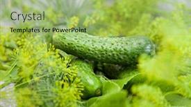  Presentation with food - PPT theme enhanced with cucumber-with-inflorescence-dill-food background and a mint green colored foreground