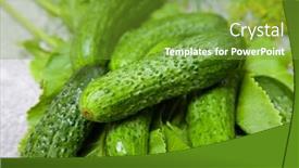  Presentation with food - PPT theme having cucumber-with-inflorescence-dill-food background and a tawny brown colored foreground