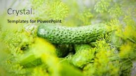  Presentation with food - Presentation design with cucumber-with-inflorescence-dill-food background and a mint green colored foreground