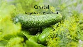  Presentation with food - Cool new PPT theme with cucumber with inflorescence dill food backdrop and a  colored foreground
