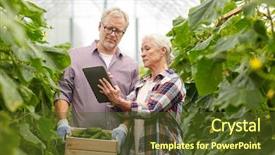  Presentation with agriculture greenhouse - Audience pleasing PPT layouts consisting of cucumbers and tablet pc computer backdrop and a tawny brown colored foreground