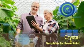  Presentation with organic farming - PPT theme consisting of cucumbers and tablet pc computer background and a tawny brown colored foreground