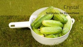  Presentation with white green - Amazing slides having cucumbers-in-a-white-pot backdrop and a gold colored foreground