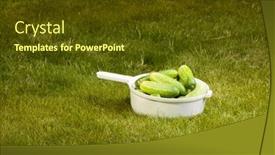  Presentation with white green - PPT theme having cucumbers-in-a-white-pot background and a tawny brown colored foreground