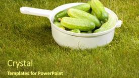  Presentation with white green - Cool new theme with cucumbers-in-a-white-pot backdrop and a tawny brown colored foreground