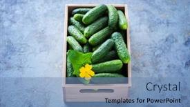  Presentation with cucumbers - Audience pleasing slide deck consisting of cucumbers-with-horseradish-dill backdrop and a teal colored foreground