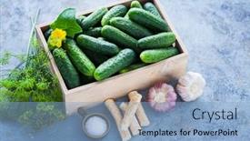  Presentation with cucumbers - PPT theme featuring cucumbers-with-horseradish-dill background and a light blue colored foreground