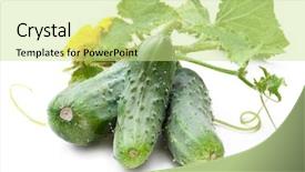  Presentation with fall leaves border white - Audience pleasing theme consisting of cucumbers with leaves on white backdrop and a soft green colored foreground