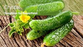  Presentation with cucumbers - Beautiful PPT theme featuring cucumbers-with-leaves backdrop and a seafoam green colored foreground